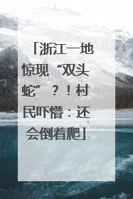 浙江一地惊现“双头蛇”？！村民吓懵：还会倒着爬